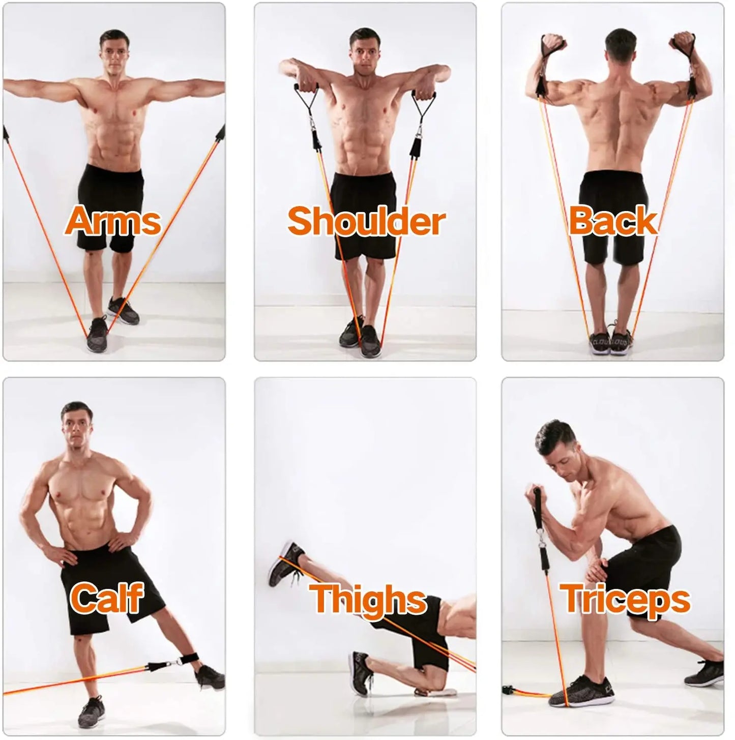LOYPHARD Resistance Bands Set – Full Body Workout & Strength Training Bands for Home Fitness and Physical Therapy