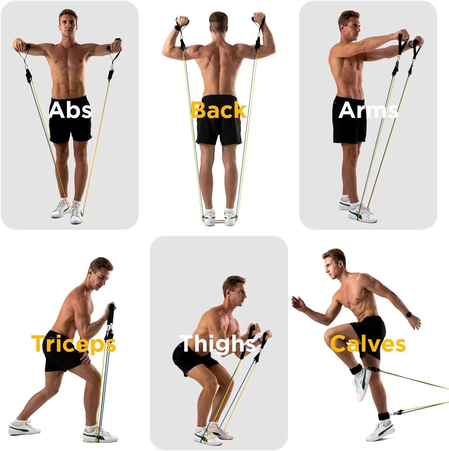 LOYPHARD Resistance Bands Set – Full Body Workout & Strength Training Bands for Home Fitness and Physical Therapy