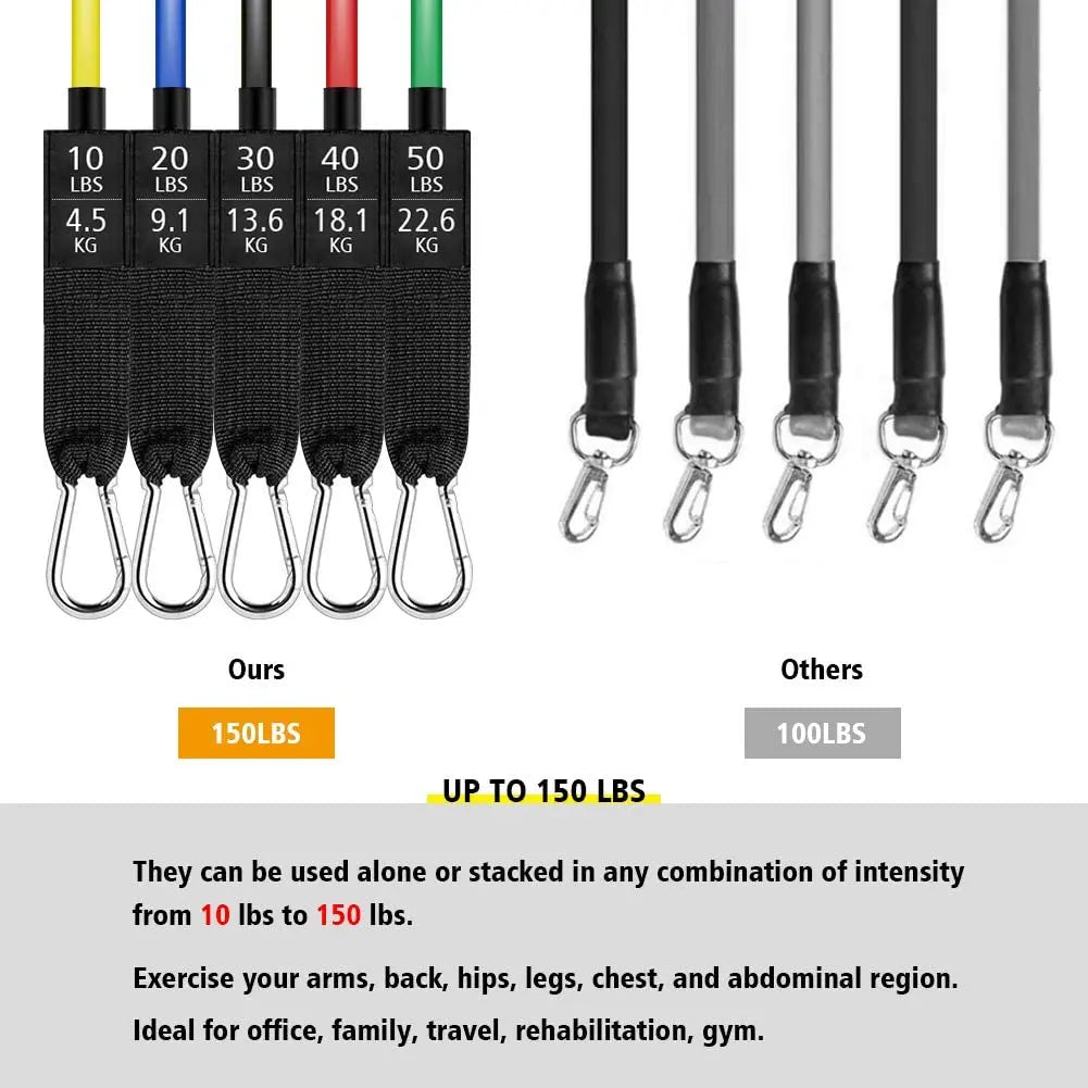 LOYPHARD Resistance Bands Set – Full Body Workout & Strength Training Bands for Home Fitness and Physical Therapy