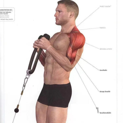 LOYPHARD Pro Resistance Training Rope – Triceps, Biceps & Back Cable Attachment